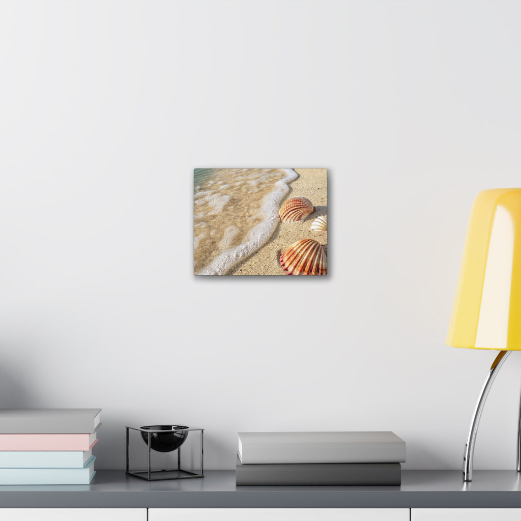 Tropical Beach Seashell Canvas Print/ Coastal Wall Art