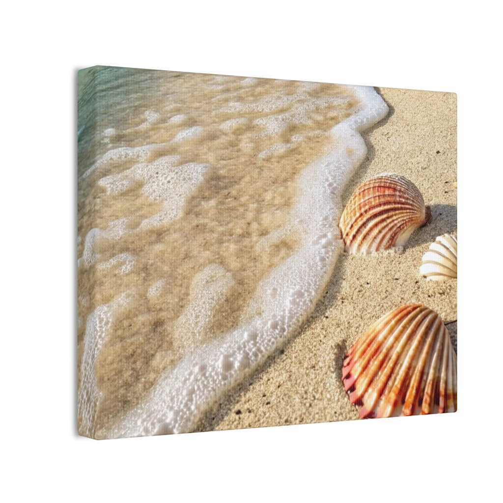 Tropical Beach Seashell Canvas Print/ Coastal Wall Art