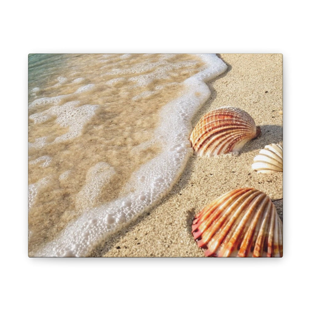 Tropical Beach Seashell Canvas Print/ Coastal Wall Art