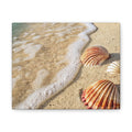 Tropical Beach Seashell Canvas Print/ Coastal Wall Art