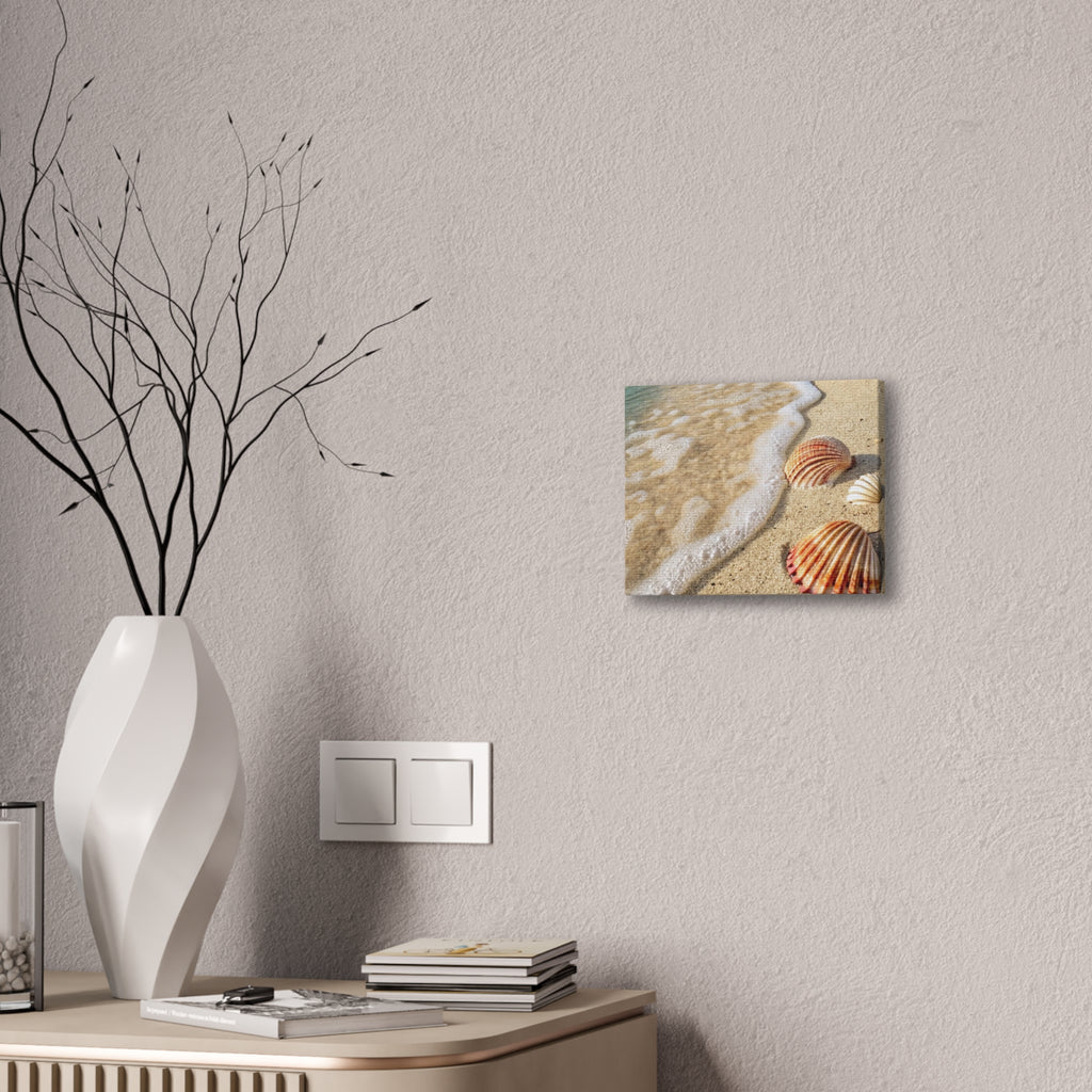 Tropical Beach Seashell Canvas Print/ Coastal Wall Art